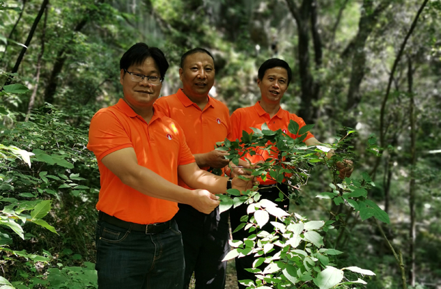 e7b3e229-bb15-4583-aa25-157a080601e2_1641300199